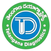 Village Health Record logo